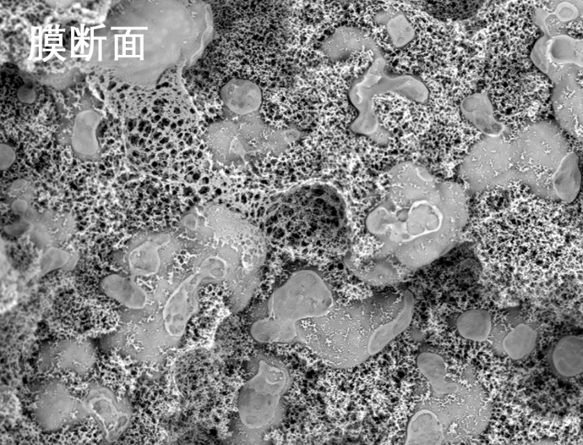 9888拉斯维加斯烧结管式膜电镜照片 9888拉斯维加斯烧结管式膜电镜照片